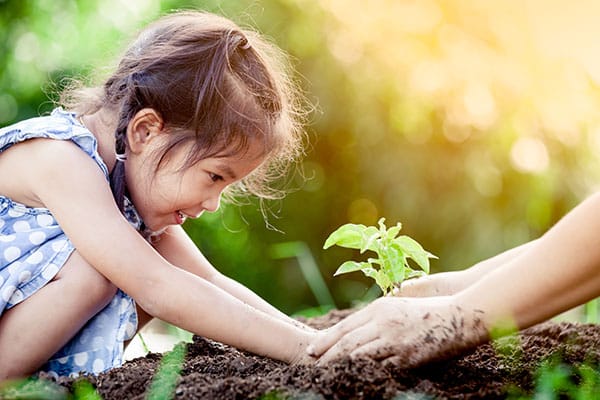 Dạy trẻ cách trồng và chăm sóc cây xanh