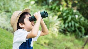 Kỹ năng quan sát giúp trẻ học tập và phát triển tư duy hiệu quả